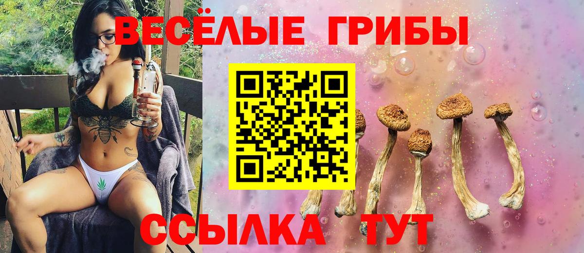 Псилоцибиновые грибы мухоморы  Вход с VPN  Спасск-Дальний  Псилоцибиновые грибы MAGIC MUSHROOMS 